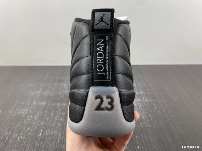 Grey 12 Black Air Wolf CT8013-019 Jordan 1123